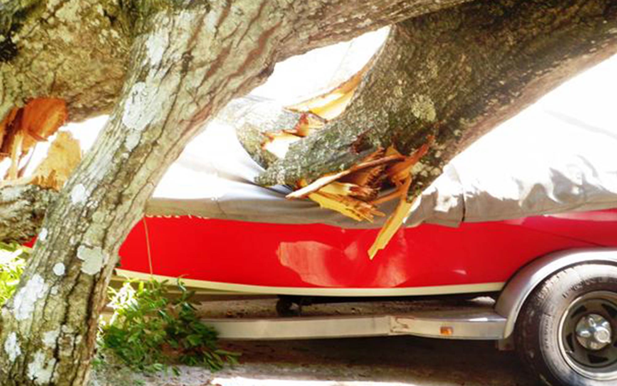 Young Boats